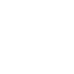 wordpress logo best freelance digital marketing expert in malappuram